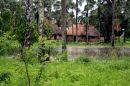 Casamance 68